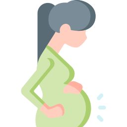 Pregnancy Care Therapy